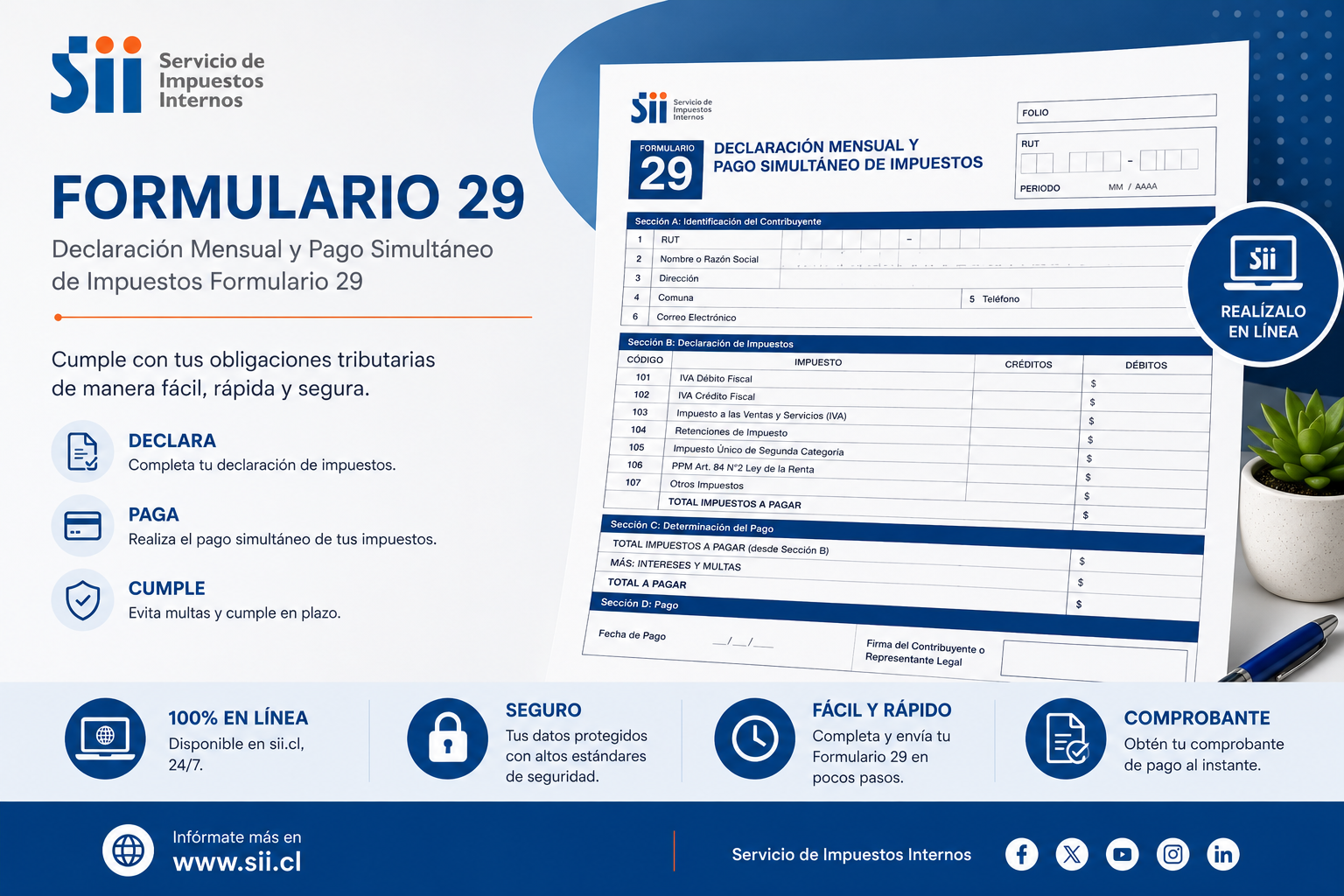 Formulario 29